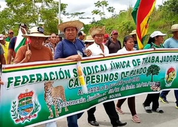 Marcha en rechazo a la Ley 1720. Foto: APG