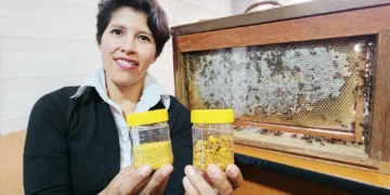 Zulma Aliaga innova con "pan de abeja".
Foto: UMSA