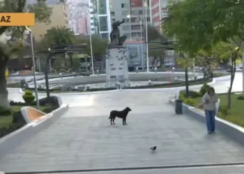 Afines a Yahuasi levantan vigilia de la plaza Abaroa. Foto: Captura