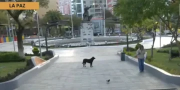 Afines a Yahuasi levantan vigilia de la plaza Abaroa. Foto: Captura