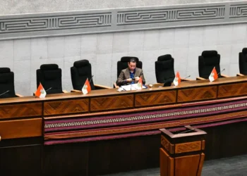 El vicepresidente Edmand Lara. Foto: APG