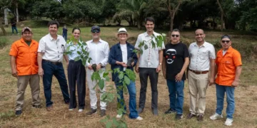 San Javier inaugura el primer Bosque Sinfonía, que une música y naturaleza.
Foto referencial