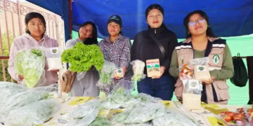 UMSA impulsa la transformación de excedentes agrícolas en alimentos nutritivos.
Foto referencial
