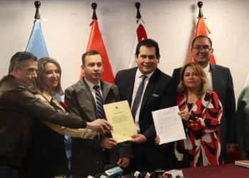 Romer Saucedo en la Cámara de Diputados. Foto: Cámara de Diputados