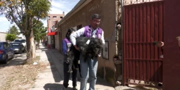 Personal de Zoonosis realizó un operativo en la zona Valle Hermoso de Cochabamba. FOTO: GAMC