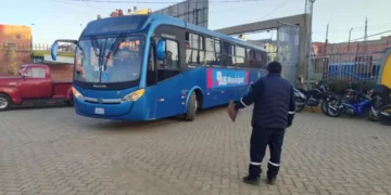 bus