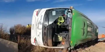 bus