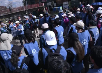 ‘Viernes con V de Vida’: El Alto inicia desafío ambiental semanal.
Foto referencial