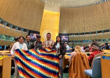 Representantes que asisten al Foro Permanente de la ONU. Foto: Nova