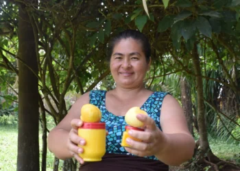 pando
