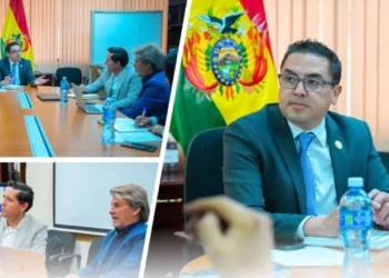 Foto: Viceministerio de Políticas de Industrialización