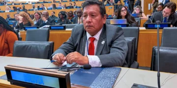 El viceministro Héctor Huanca en la ONU. Foto: Cancillería