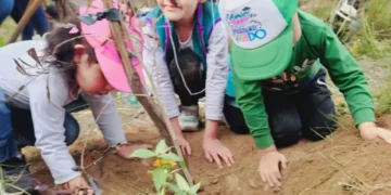 Movimiento Un Millón de Árboles realiza la reforestación. FOTO: Un Millón de Árboles