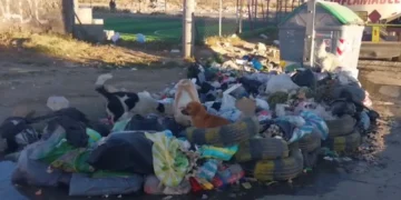 Basura acumulada debido a la suspensión de la recolección por los bloqueos. FOTO: GAMEA