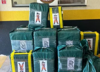 Las bolsas con los paquetes de droga/Policía Federal
