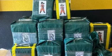 Las bolsas con los paquetes de droga/Policía Federal