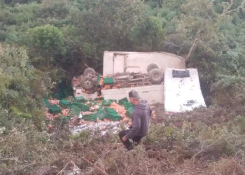 Pobladores ayudaron a sacar las cestas con carne de pollo/RRSS