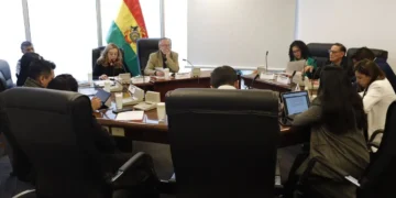 Comisión en la Cámara de Diputados. Foto: Diputados