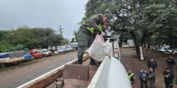 Las bolsas con droga estaban en el tanque/GA