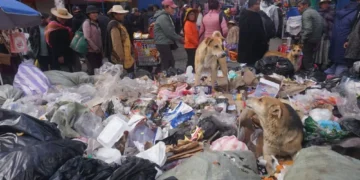 La basura acumulada en una calle de El Alto. FOTO: APG