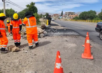 Se realizó la limpieza de la vía/ABC