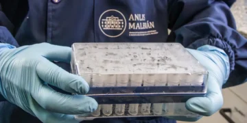 Se realizaron varias pruebas de laboratorio/AFP