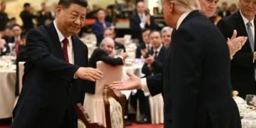 Xi y Trump se dan la mano en la cena de gala en Pekín/AFP