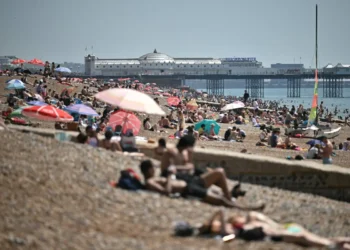 Ola de calor en Europa/AFP