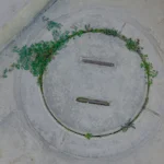 Plantas crecen alrededor de una tapa circular de cemento en un espacio urbano deteriorado.