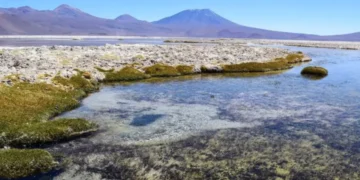 Uno de los salares de Atacama, en el vecino país de Chile (Foto: Fundación Terram)