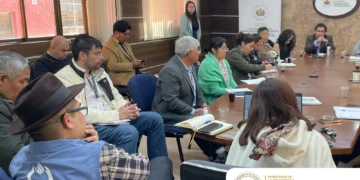 Imagen: Viceministerio de Igualdad de Oportunidades, Descolonización y Despatriarcalización.