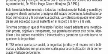 El documento fue difundido en la red social Facebook del Tribunal Supremo Electoral.
Foto TSE