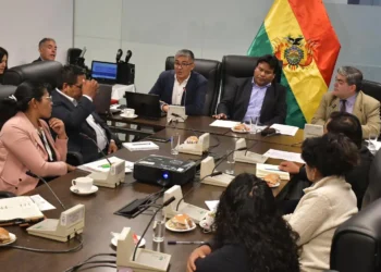 La participación de Espinoza en la sesión de Diputados. Foto: APG