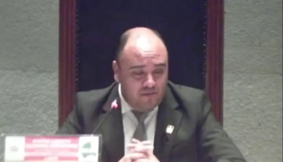 El presidente del TSE, Gustavo Ávila, en el Senado. Foto: Captura