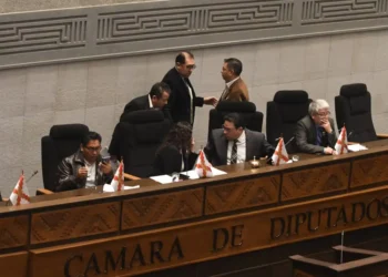 Sesión ordinaria de la Cámara de Diputados, este sábado. Foto: APG