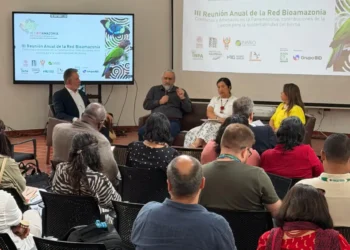 La UMSA en debate internacional sobre la Amazonía
Foto referencial
