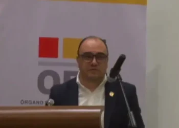 El presidente del TSE, Gustavo Ávila. Foto: Captura