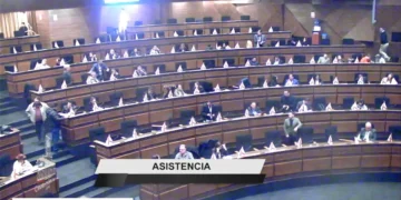 Sesión en la Cámara de Diputados. Foto: Captura