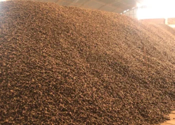 Una producción de castaña en gestiones anteriores. Foto: Cadexnor