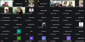 Sesión virtual del Senado. Foto: Captura