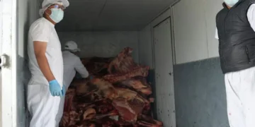 Envío de carne a la ciudad de La Paz. Foto: Ministerio de Desarrollo Productivo