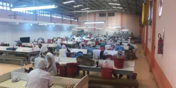 Producción de castaña en el norte amazónico. Foto: Cadexnor Bolivia