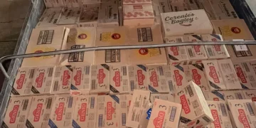 La mercadería comisada por las autoridades en Tarija. Foto: Aduana
