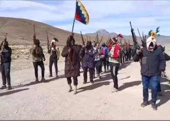 El grupo exhibe armas largas y escopetas/Captura de pantalla