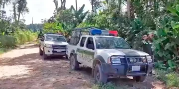 La Policía realiza operativos/Captura de video