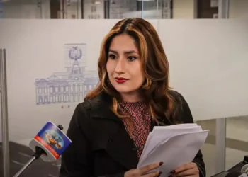 La diputada Sofía Rocha.
Foto: Cámara de Diputados