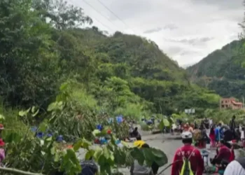Bloqueo en la localidad de Guanaya, en La Paz.
Foto: Captura RRSS
