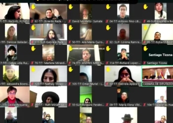 Sesión virtual de la Cámara de Diputados.
Captura RRSS