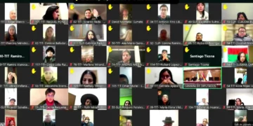 Sesión virtual de la Cámara de Diputados.
Captura RRSS
