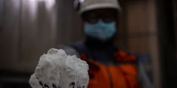 Un trabajador muestra litio al 99,9% en una planta procesadora  de Chile. Foto: AFP